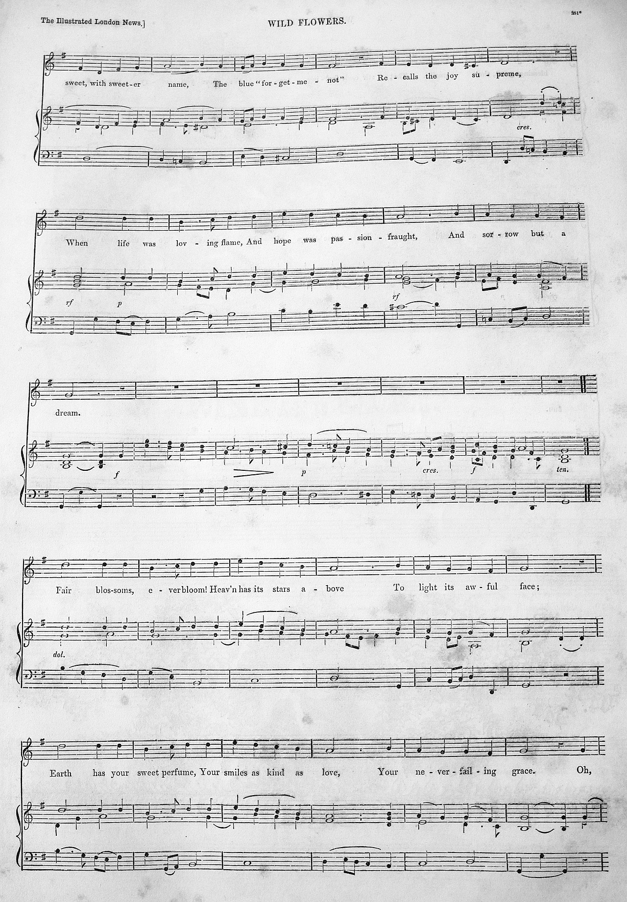 wild flowers may 1 1852 3